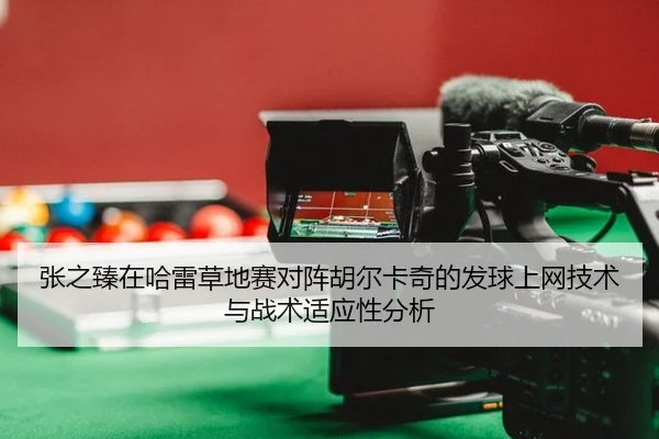 张之臻在哈雷草地赛对阵胡尔卡奇的发球上网技术与战术适应性分析